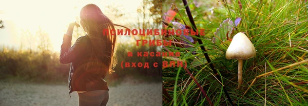 крисы Беломорск