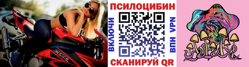 где купить наркотик  Луховицы  Псилоцибиновые грибы Magic Shrooms 