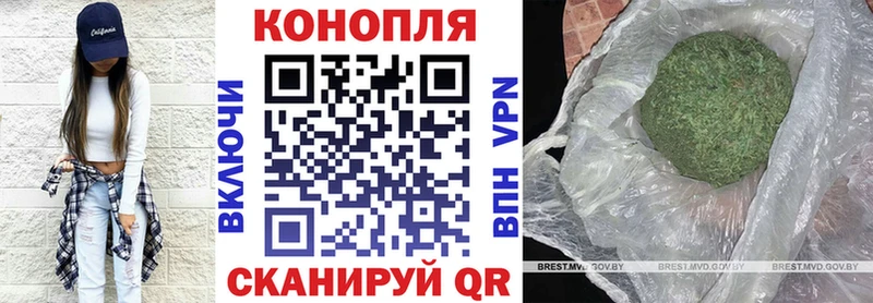 Марихуана гибрид  Луховицы 